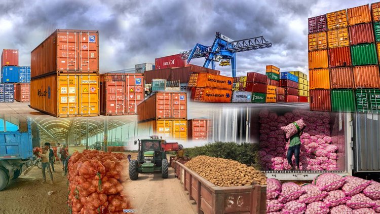 How To Export Food Successfully