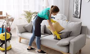 Expert Tips For Cleaning Your Leather Sofa
